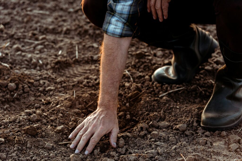 cropped view of self-employed farmer sitting and touching ground