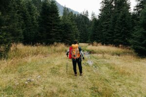 Exploring the Outdoors A Hiking Man Adventure in Nature, back view