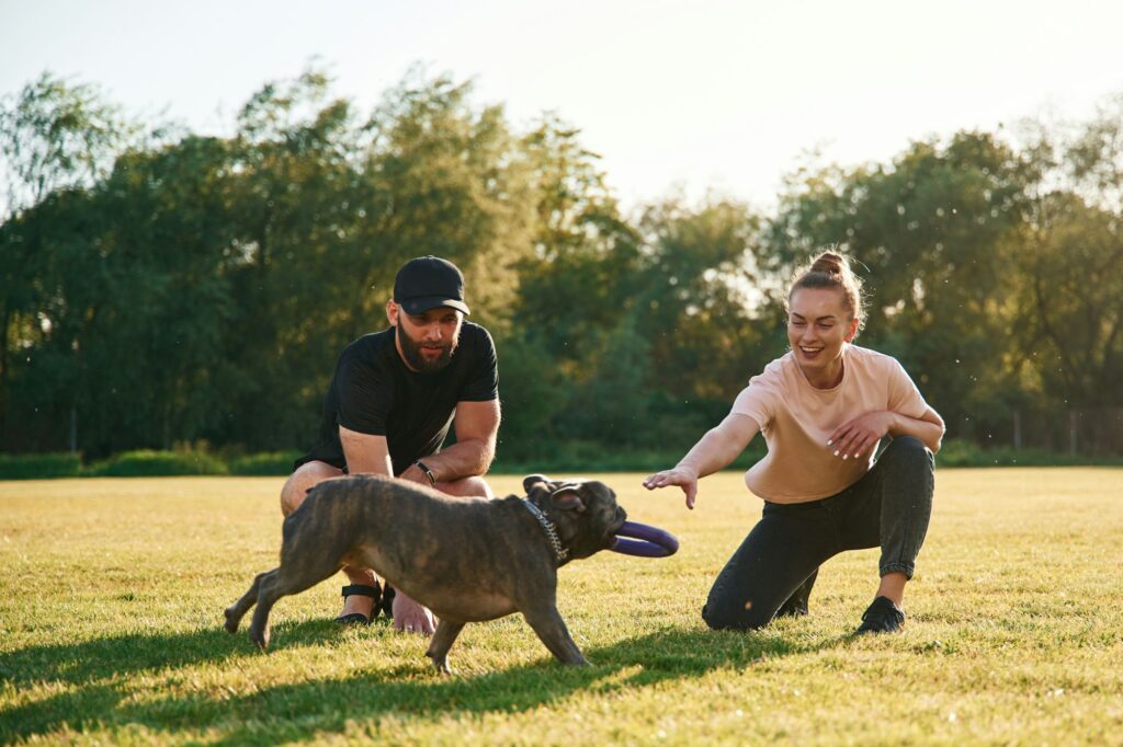 Active time spending, with rubber toy. Man and woman are with dog on the field