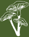 Revive Counseling LLC Logo
